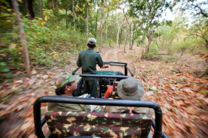 Jeep-Safari-in-Satpura-National-Park