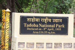 Tadoba National Park Gate