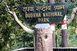 dudhwa national park gate